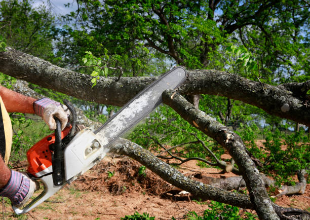 Mulching Services in Churchill, PA